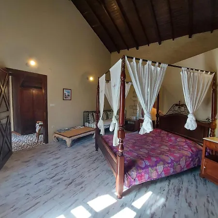 1882 (adults Only) Zajazd