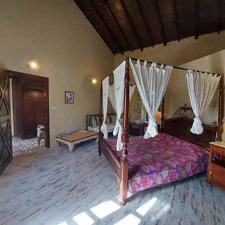 1882 (adults Only) Inn