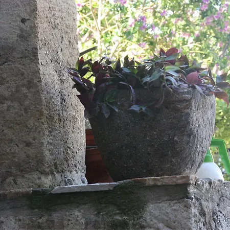 1882 (adults Only) Мини-отель Алачати