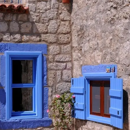 1882 (adults Only) 5*