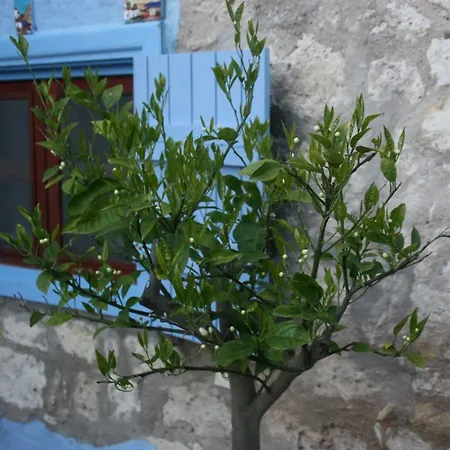 1882 (adults Only) Мини-отель